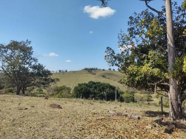 Sítio e chácara venda em Região Geográfica Imediata de Santo Antônio da Platina, Jacarezinho