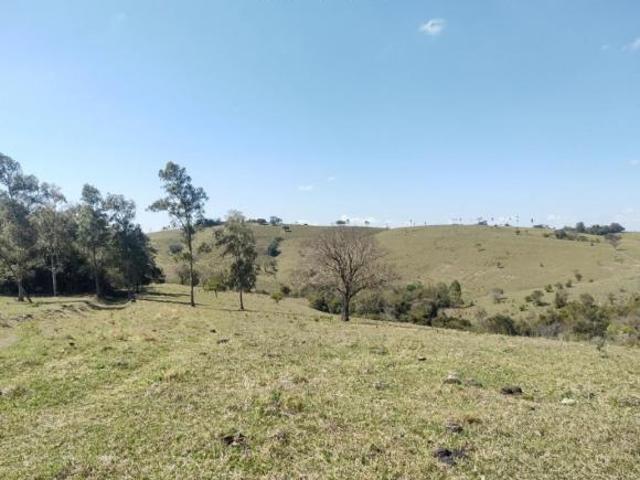 Sítio e chácara venda em Região Geográfica Imediata de Santo Antônio da Platina, Jacarezinho