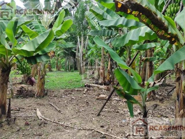 Sítio e chácara venda em Região Imediata de Registro, Juquia