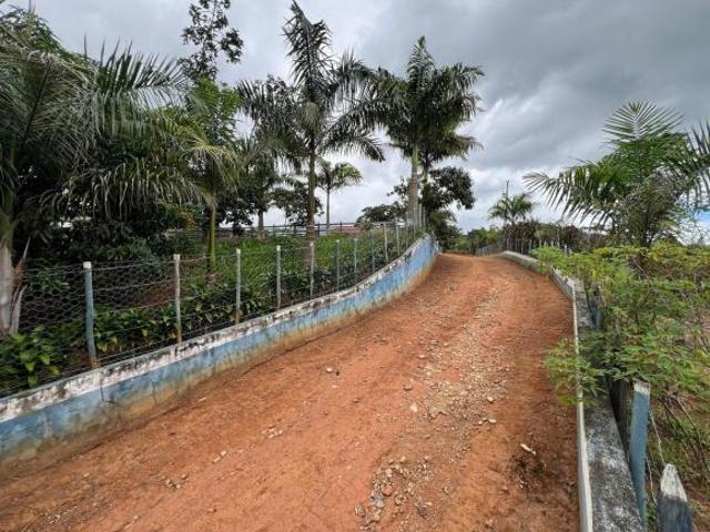 Sítio e chácara venda em Região Geográfica Imediata de Conselheiro Lafaiete, Rio Espera