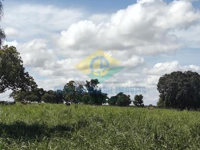Sítio e chácara venda em Região Geográfica Imediata de Campo Grande, Rochedo