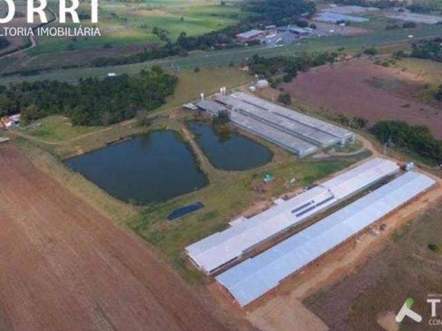 Sítio e chácara venda em Cesário Lange, Cesario Lange