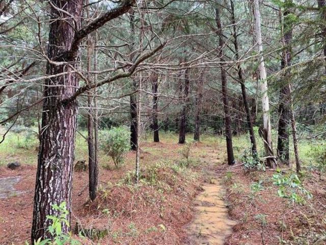 Sítio e chácara venda em Região Geográfica Imediata de Caxias do Sul, Gramado