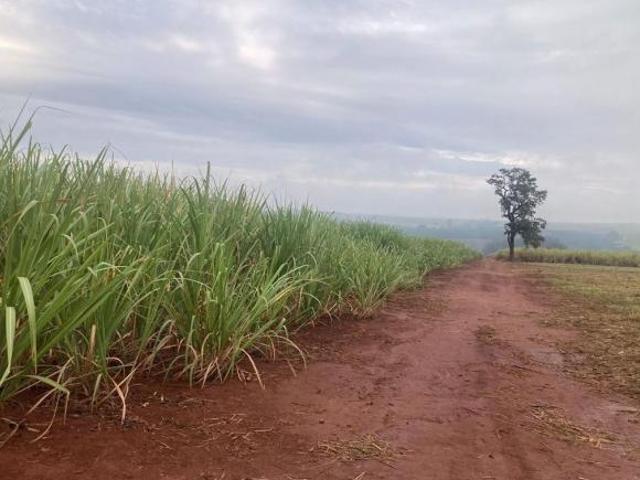 Sítio e chácara venda em Região Imediata de Araras, Região Metropolitana de Piracicaba