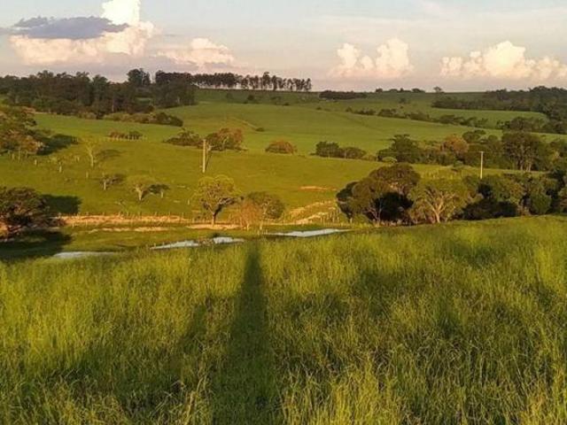 Sítio e chácara venda em Itapetininga