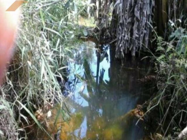 Sítio e chácara venda em Região Geográfica Imediata de Poços de Caldas, Botelhos