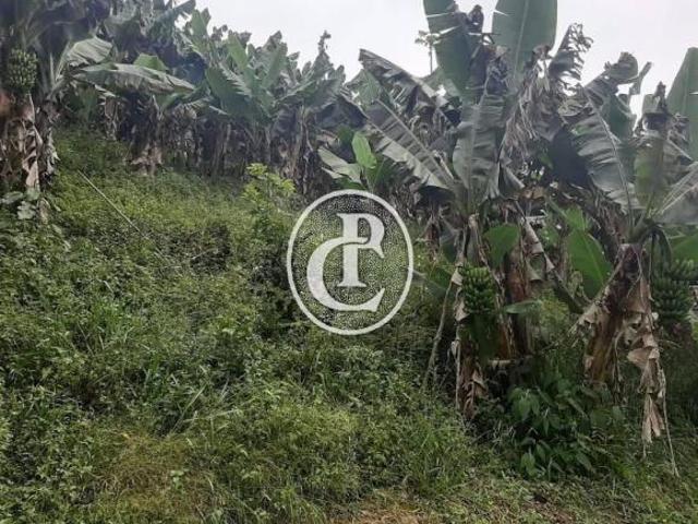 Sítio e chácara venda em Região Imediata de São José dos Campos, Região Metropolitana do Vale do Paraíba e Litoral Norte