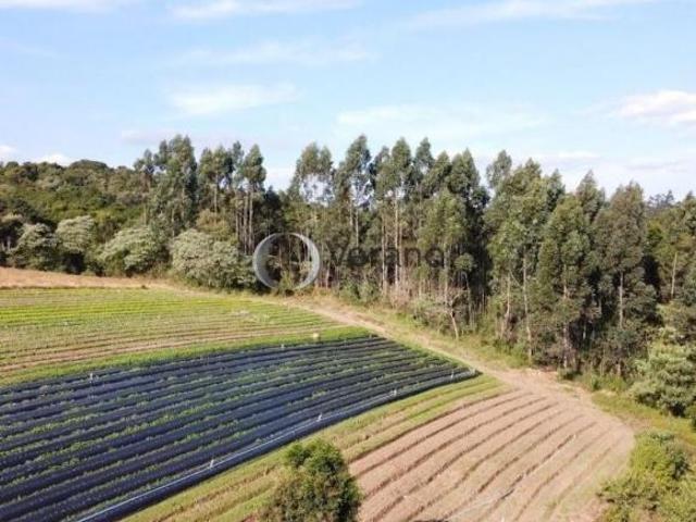 Sítio e chácara venda em Região Imediata de Sorocaba, Região Metropolitana de Sorocaba