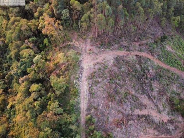 Sítio e chácara venda em Região Imediata de Taubaté-Pindamonhangaba, Região Metropolitana do Vale do Paraíba e Litoral Norte