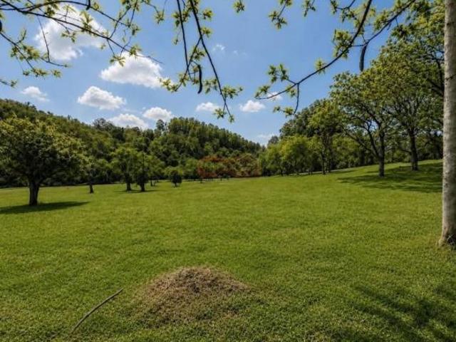 Sítio e chácara venda em Jardim Figueira A, Amparo