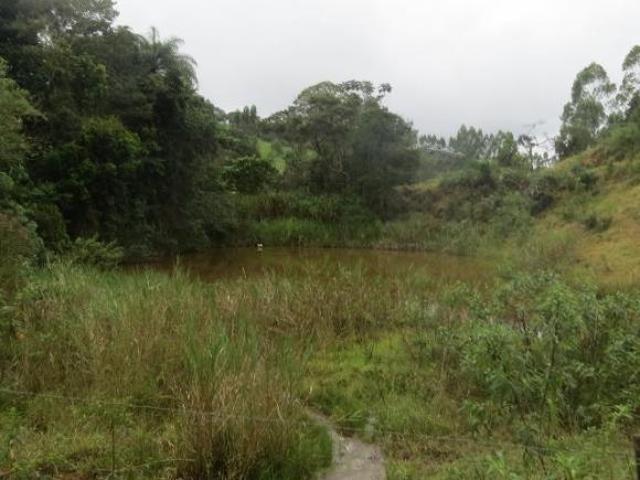 Sítio e chácara venda em Pedra Branca, Caeté