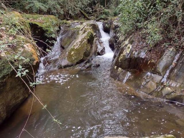 Sítio e chácara venda em Região Imediata de Guaratinguetá, Região Metropolitana do Vale do Paraíba e Litoral Norte