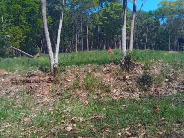 Sítio e chácara venda em Região Geográfica Imediata de São Lourenço, Conceição do Rio Verde