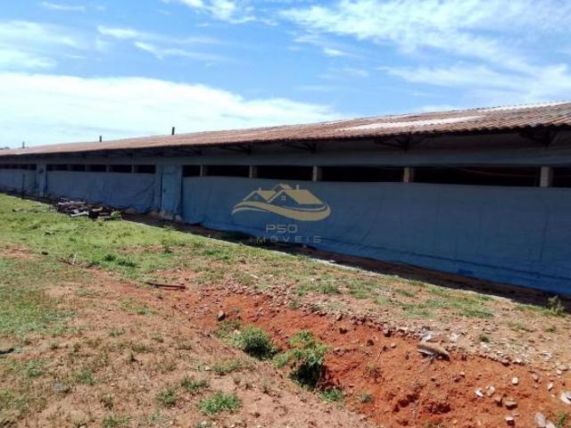Sítio e chácara venda em Região Imediata de Campinas, Região Metropolitana de Piracicaba