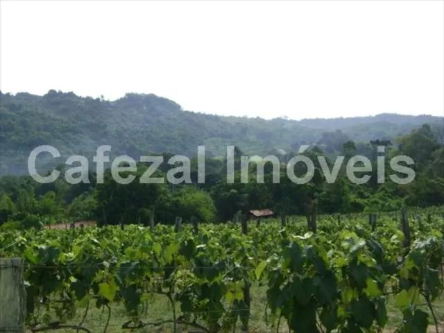 Fazenda venda em Região Imediata de Jundiaí, Itupeva