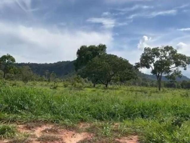 Sítio e chácara venda em Região Imediata de Franca, Pedregulho