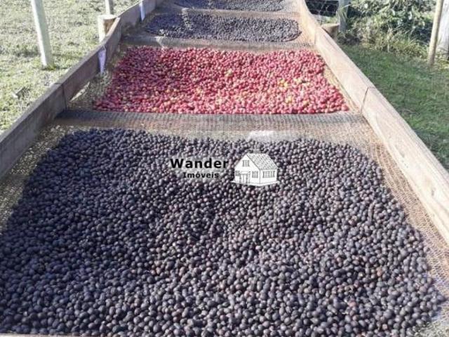 Sítio e chácara venda em Munhoz, Minas Gerais