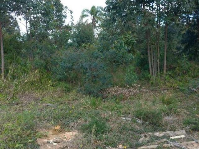 Sítio e chácara venda em Pindorama, Região Imediata de São Paulo