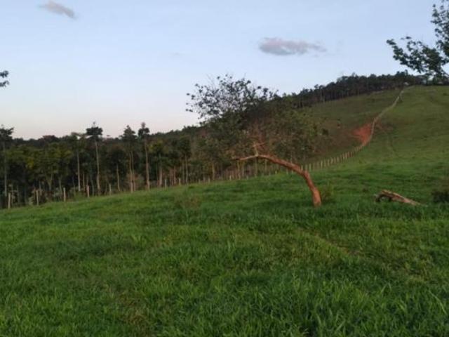 Sítio e chácara venda em Região Geográfica Imediata de São Lourenço, São Lourenço