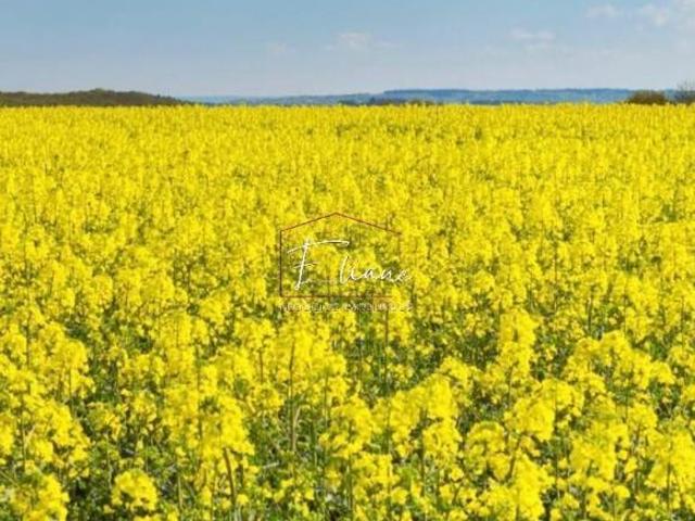 Sítio e chácara venda em Região Geográfica Imediata de São Luiz Gonzaga, Santo Antônio das Missões