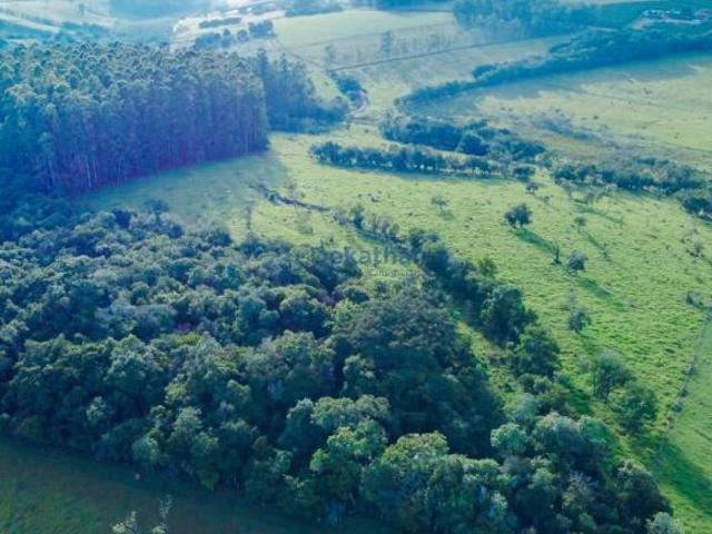 Sítio e chácara venda em Alterosa, Região Geográfica Intermediária de Varginha