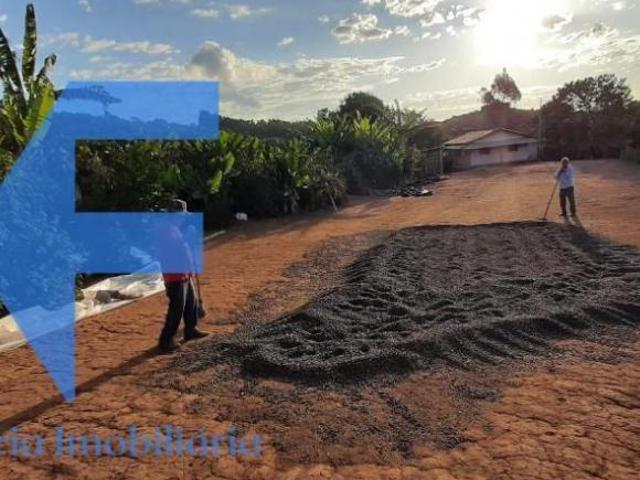 Sítio e chácara venda em Capelinha, Região Sudeste