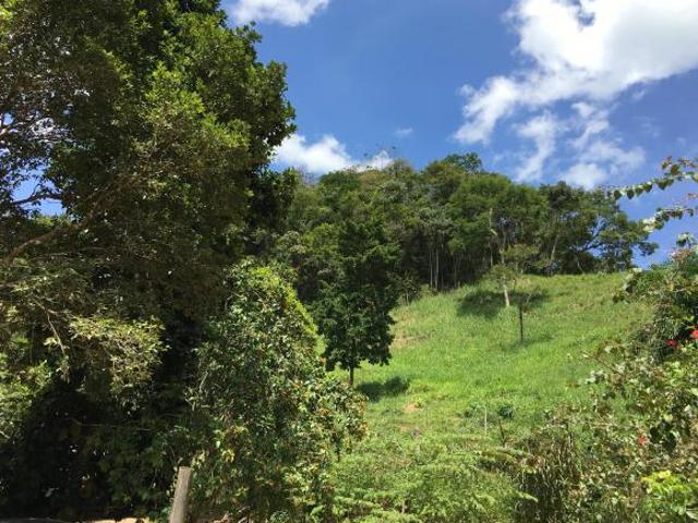 Sítio e chácara venda em Região Geográfica Imediata de Ipatinga, Marliéria