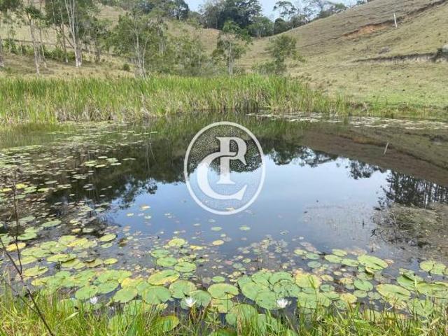 Sítio e chácara venda em Região Imediata de Caraguatatuba-Ubatuba-São Sebastião, Região Metropolitana do Vale do Paraíba e Litoral Norte