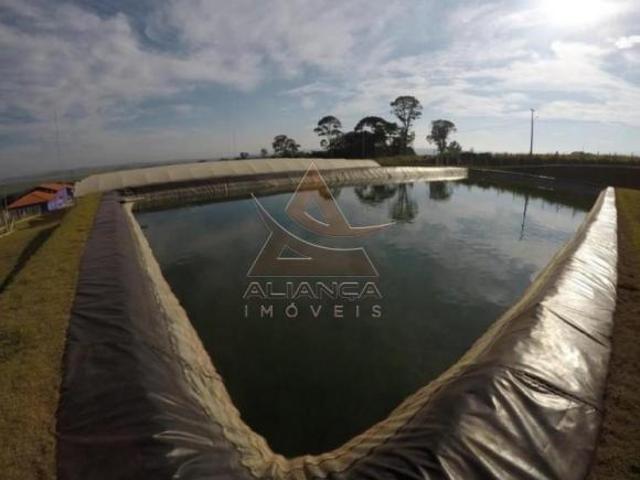 Sítio e chácara venda em Região Imediata de Ribeirão Preto, Região Metropolitana de Ribeirão Preto