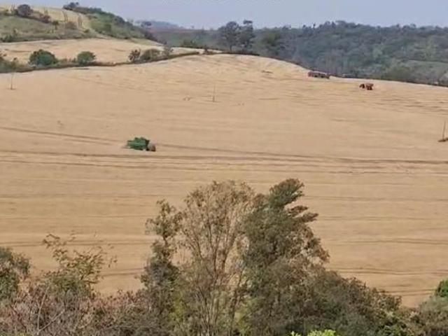 Sítio e chácara venda em Região Imediata de Campinas, Região Metropolitana de Campinas