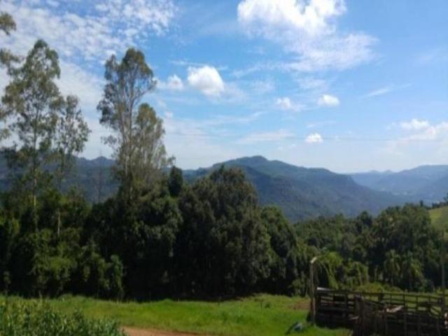 Sítio e chácara venda em Região Geográfica Imediata de Caxias do Sul, Nova Petrópolis