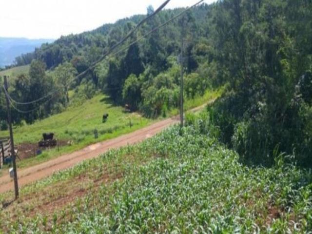 Sítio e chácara venda em Região Geográfica Imediata de Caxias do Sul, Nova Petrópolis