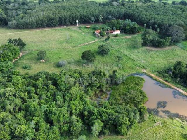 Sítio e chácara venda em Região Imediata de São José do Rio Preto, Região Metropolitana de São José do Rio Preto