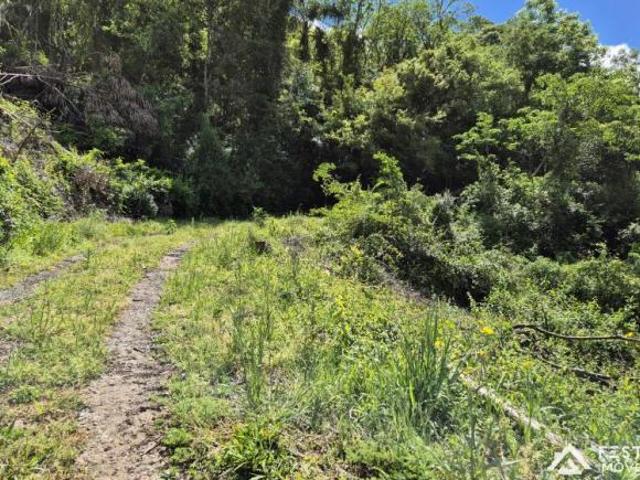 Sítio e chácara venda em Região Geográfica Imediata de Bento Gonçalves, Veranópolis