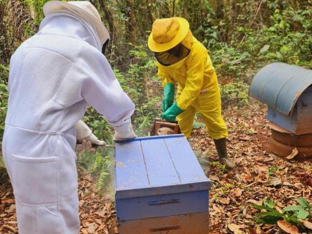 Sítio e chácara venda em Região Geográfica Imediata de Guaxupé, Nova Resende