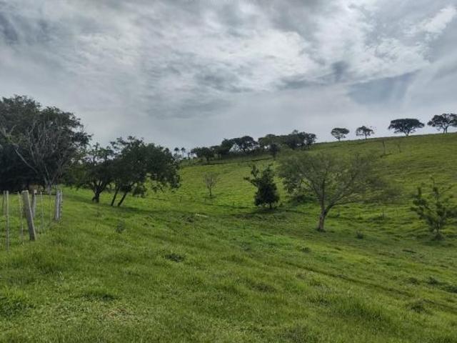 Sítio e chácara venda em Região Geográfica Imediata de Santo Antônio da Platina, Santo Antônio da Platina