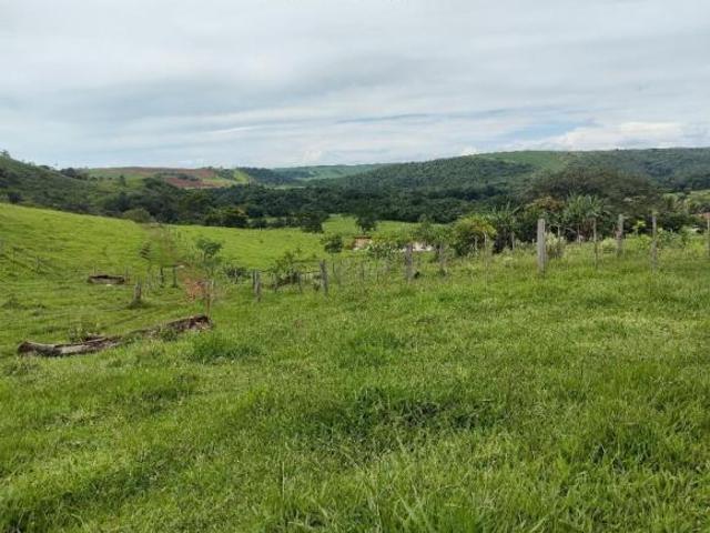 Sítio e chácara venda em Região Geográfica Imediata de Santo Antônio da Platina, Santo Antônio da Platina