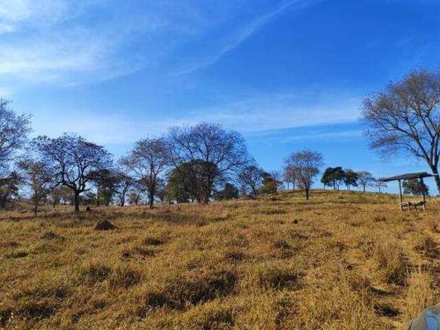 Sítio e chácara venda em Santo Hipólito, Região Geográfica Intermediária de Belo Horizonte