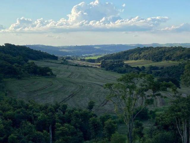 Sítio e chácara venda em Região Geográfica Imediata de Londrina, Assaí