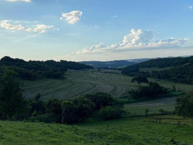 Sítio e chácara venda em Região Geográfica Imediata de Londrina, Assaí