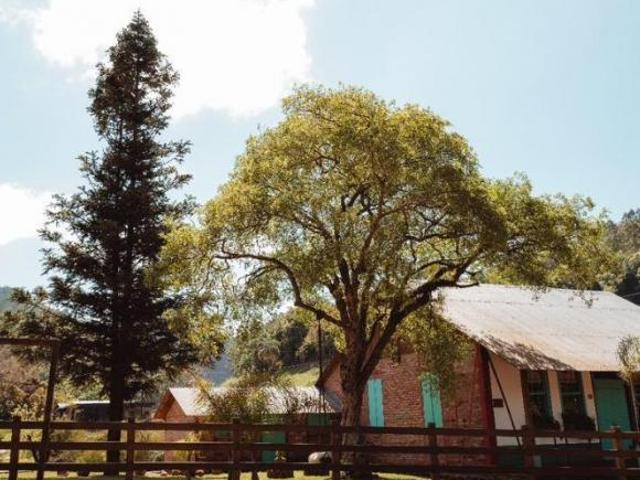Sítio e chácara venda em Região Geográfica Imediata de Lajeado, Santa Clara do Sul