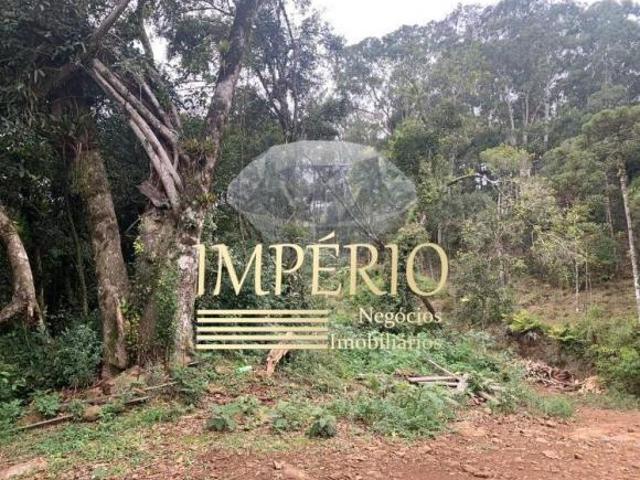 Sítio e chácara venda em Região Geográfica Imediata de Taquara - Parobé - Igrejinha, Três Coroas
