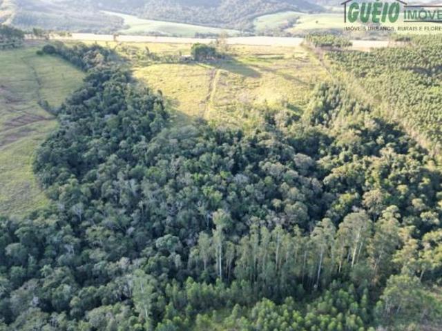 Sítio e chácara venda em Região Imediata de Itapeva, Itararé