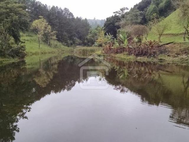 Sítio e chácara venda em Juquitiba