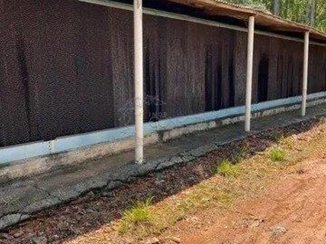 Sítio e chácara venda em Região Geográfica Imediata de Londrina, Tamarana