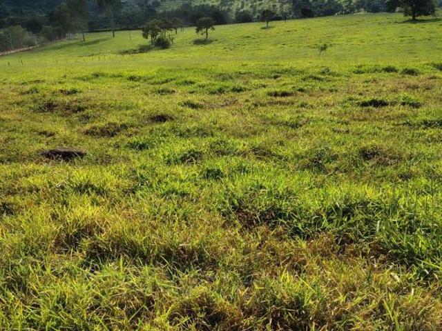 Sítio e chácara venda em Região Geográfica Imediata de São Sebastião do Paraíso, Monte Santo de Minas
