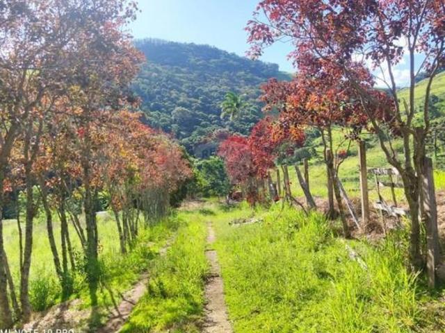 Sítio e chácara venda em Região Geográfica Imediata de Cataguases, Leopoldina