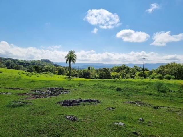 Sítio e chácara venda em Região Geográfica Imediata de Taquara - Parobé - Igrejinha, Três Coroas