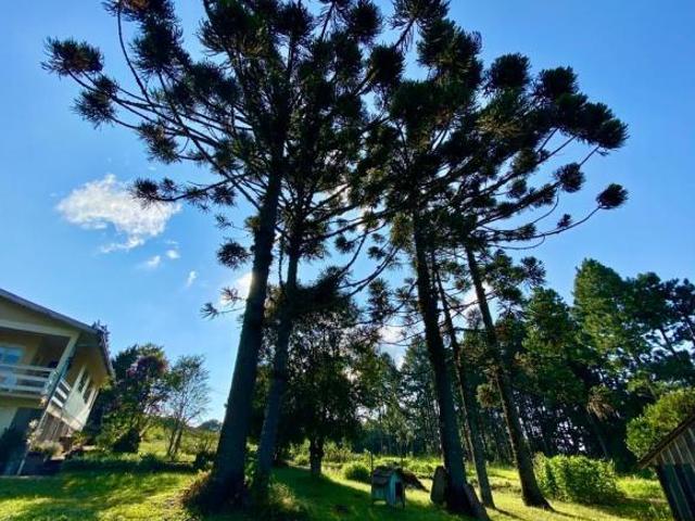 Sítio e chácara venda em Região Geográfica Imediata de Taquara - Parobé - Igrejinha, Três Coroas