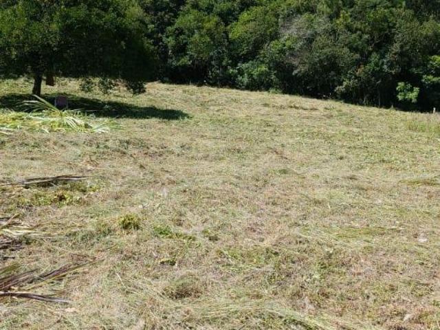 Sítio e chácara venda em Região Geográfica Imediata de Porto Alegre, Aglomeração Urbana do Litoral Norte